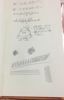 0.28ジェッスト (2).JPG